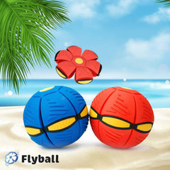FLYBALL™ – ФРИЗБИ ТОПКА