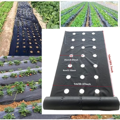 VEGMESH™ – ФОЛИО ЗА САДЕНЕ (1x10m)